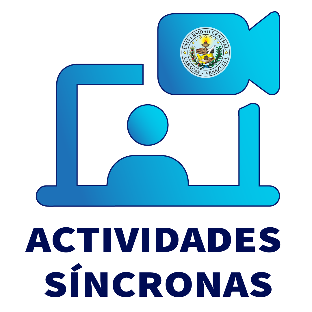 Ir a Actividades Síncronas